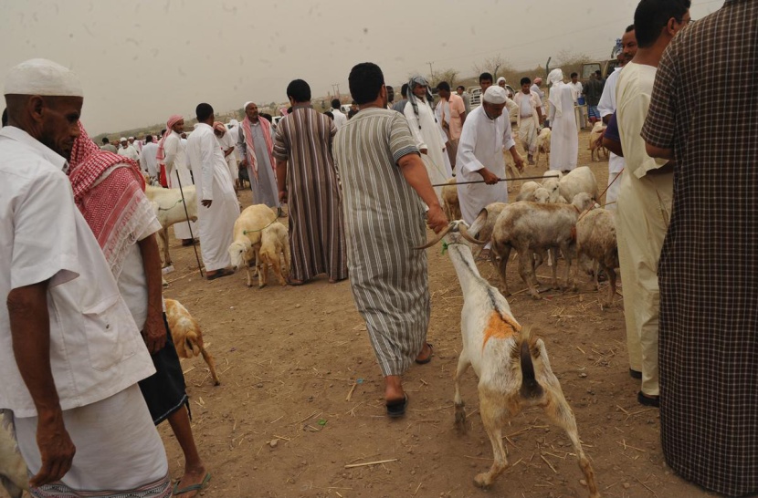 "الخوبة" تنشط بحركة التجارة في جازان