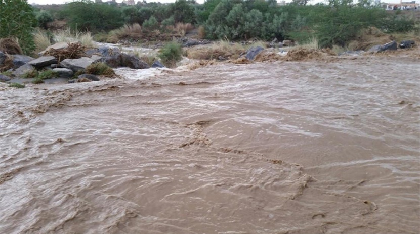 أمطار غزيرة على منطقة جنوب المملكة