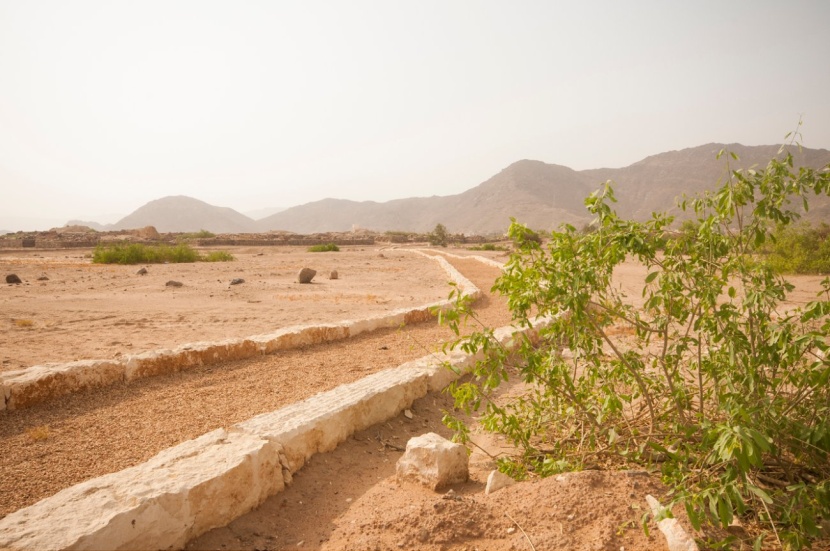 متحف نجران الإقليمي: الهوية المحلية تعانق الرؤية المتحفية الحديثة