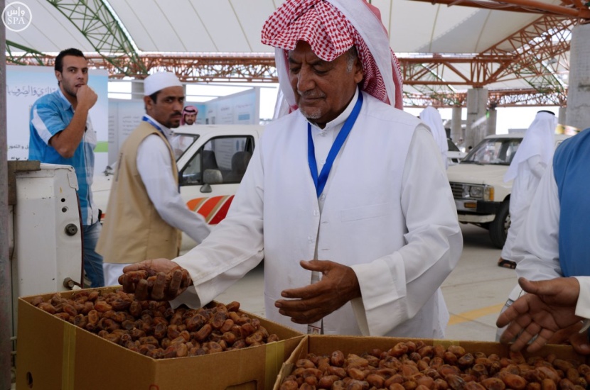 أمانة الأحساء تُطلق موسم تمورها بمهرجان ( خلاصنا كهرمان )