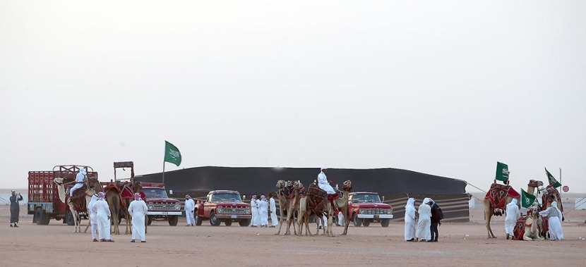 الملك يدشن غدا القرية السعودية للإبل ويرعى الحفل الختامي لمهرجان الإبل