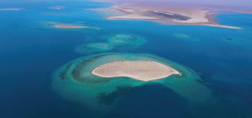 قصة مصورة : مشروع البحر الأحمر.. سياحة عالمية برؤية سعودية