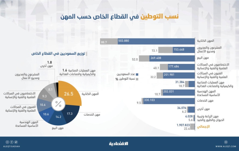  ارتفاع «التوطين» إلى 22.4 % في القطاع الخاص ويتجاوز 40 % في 4 مهن رئيسة 