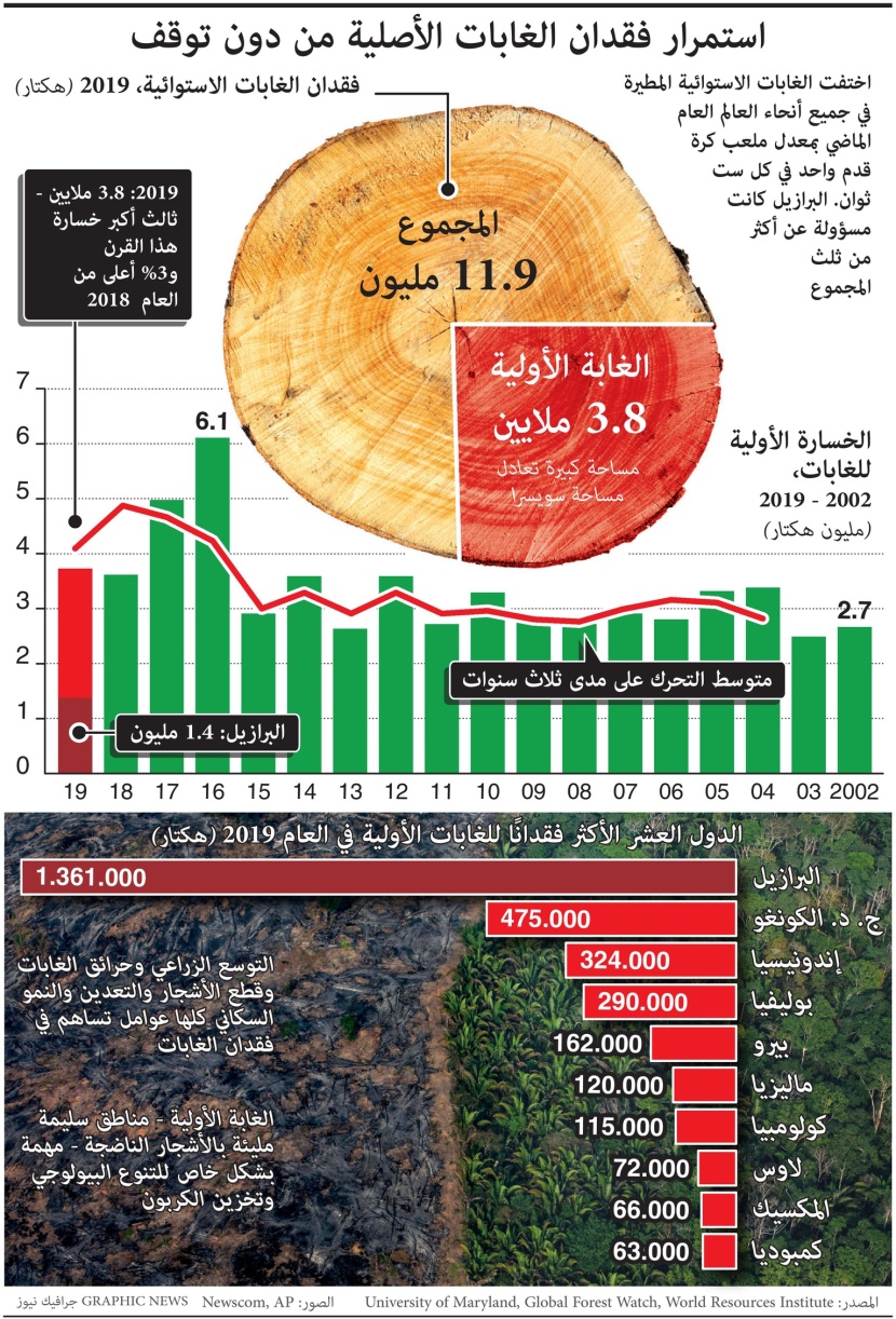 الغابات المطيرة تخسر ما يعادل ملعب كرة قدم من مساحتها كل 6 ثوان في 2019