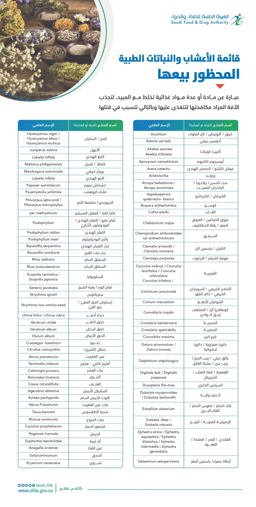  70 نوعا من الأعشاب والنباتات الطبية المحظور بيعها في السعودية