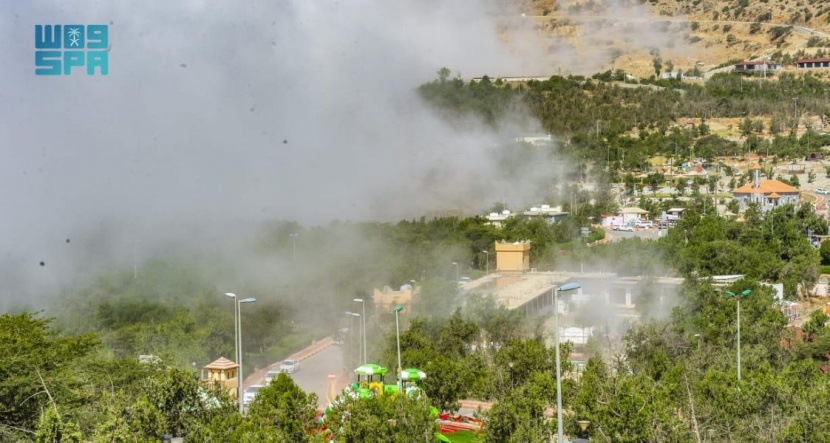 غابة رغدان .. عناق الأشجار والطبيعة والغيوم