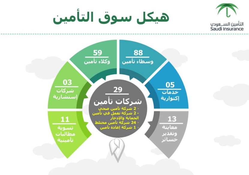 29 شركة توفر الاحتياجات التأمينية وضمان الحقوق للأفراد والمنشآت التجارية