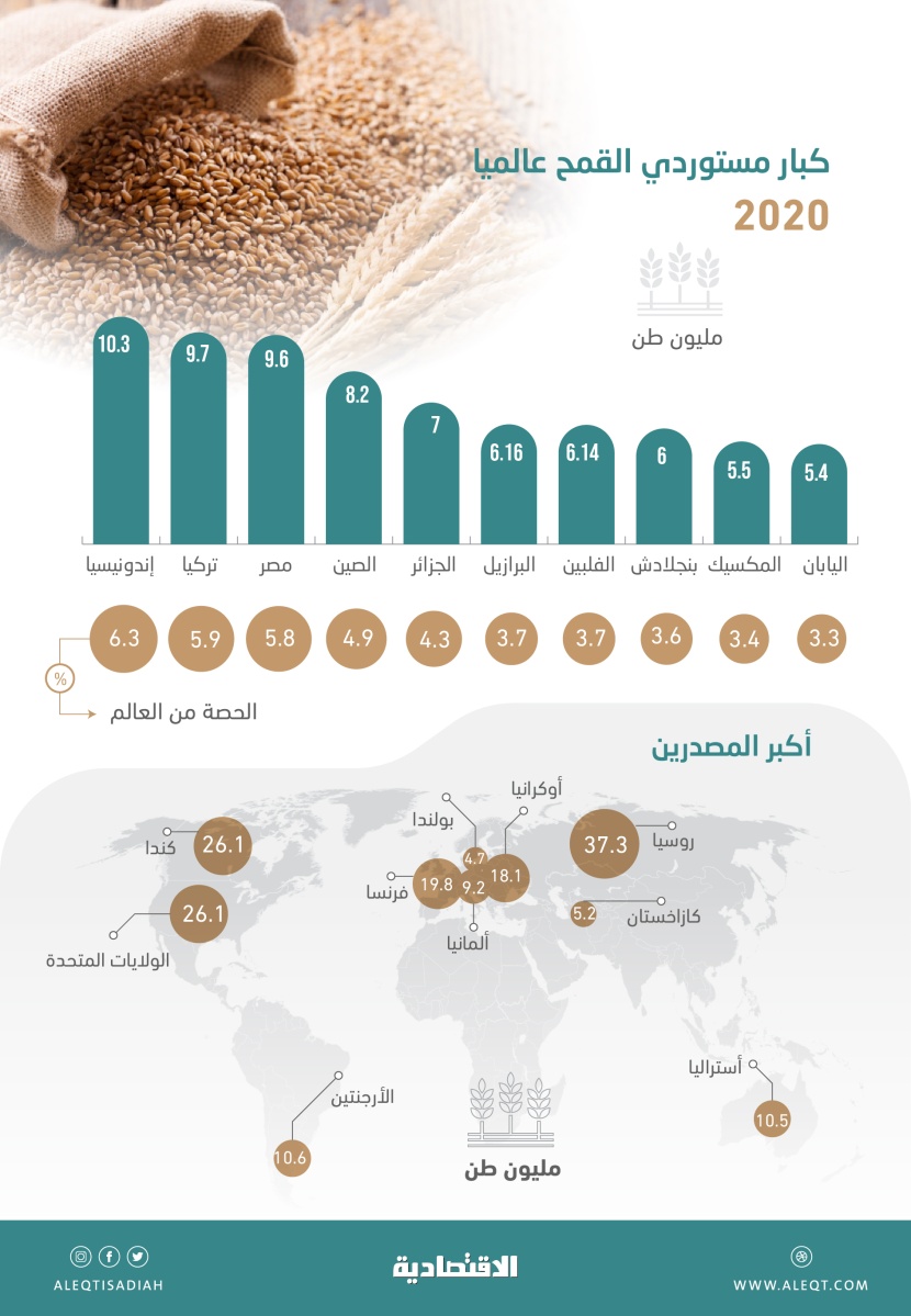 45 % حصة 10 دول من واردات القمح .. بينها دولتان عربيتان