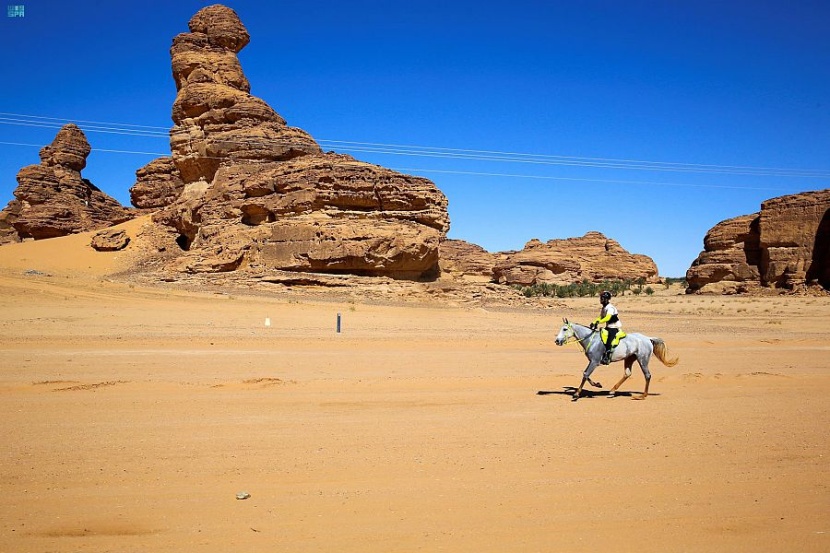 حدثانِ عالميان يعودانِ إلى طبيعة العلا.. كَأْس الملك للقدرة والتحمل و بطولة "بولو الصحراء"