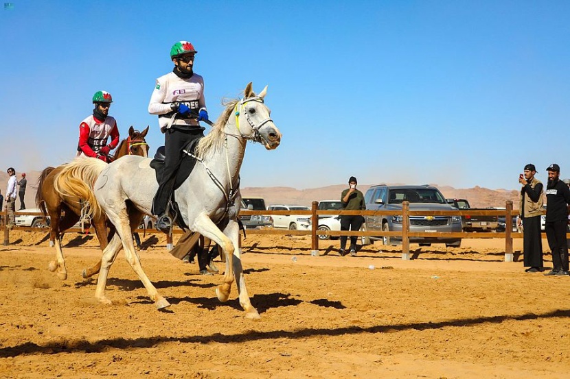 حدثانِ عالميان يعودانِ إلى طبيعة العلا.. كَأْس الملك للقدرة والتحمل و بطولة "بولو الصحراء"