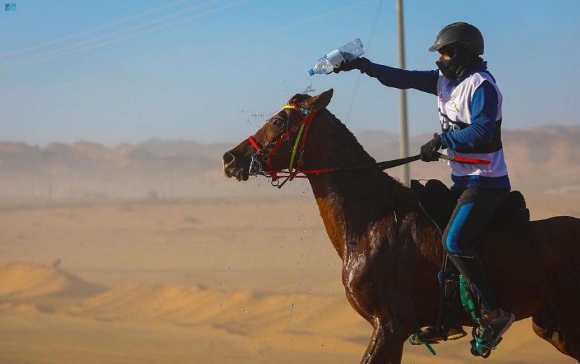 حدثانِ عالميان يعودانِ إلى طبيعة العلا.. كَأْس الملك للقدرة والتحمل و بطولة "بولو الصحراء"