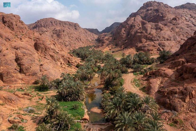 رالي حائل .. موعد مع جمال الطبيعة وتنوع التضاريس