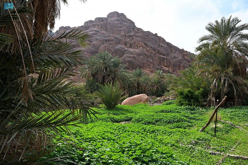 رالي حائل .. موعد مع جمال الطبيعة وتنوع التضاريس