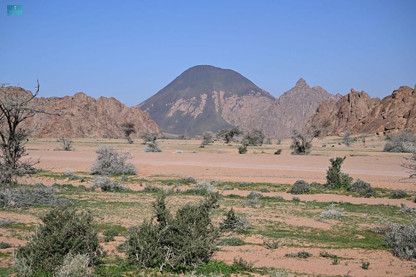 رالي حائل .. موعد مع جمال الطبيعة وتنوع التضاريس