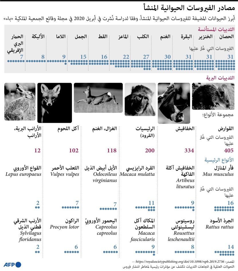 تعرف على أبرز الحيوانات المضيفة للفيروسات 