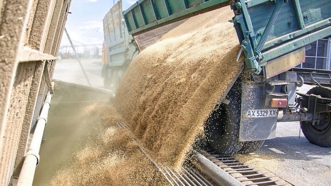 صادرات الحبوب الأوكرانية تبلغ 40.7 مليون طن