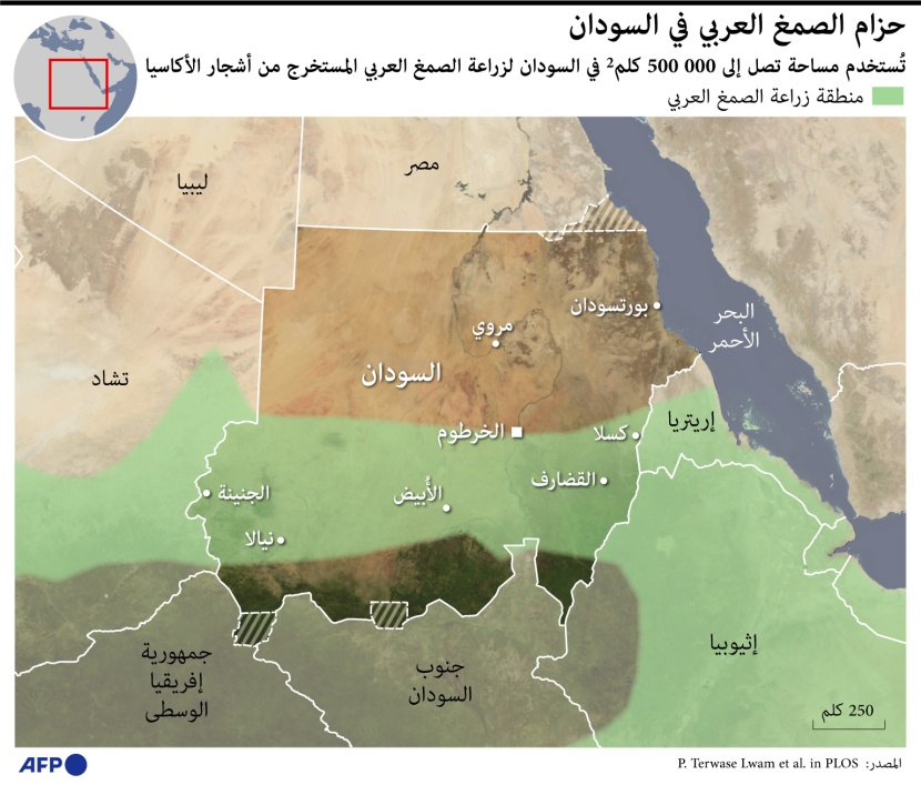 السودان يحتل صدارة منتجي الصمغ العربي في العالم .. تجارة بملايين الدولارات