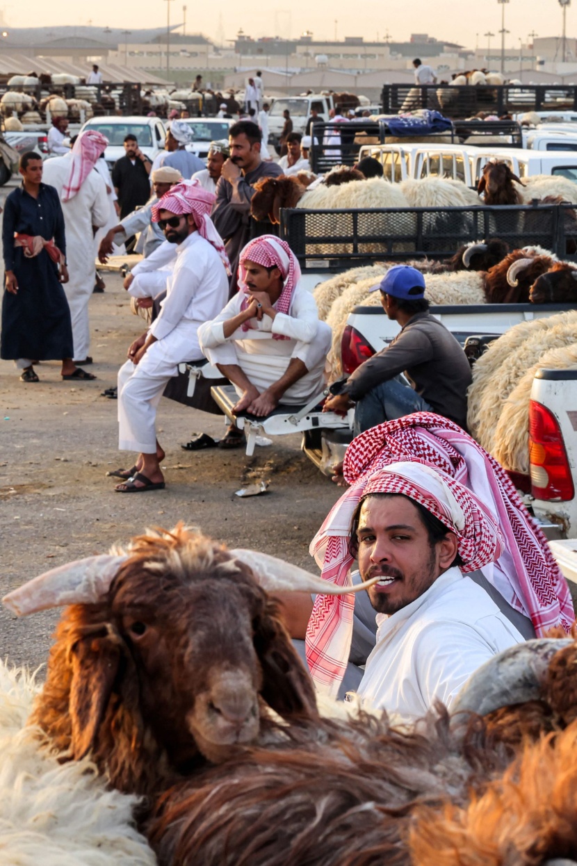 سوق الأغنام بالعزيزية .. بائعون ينتظرون الزبائن 