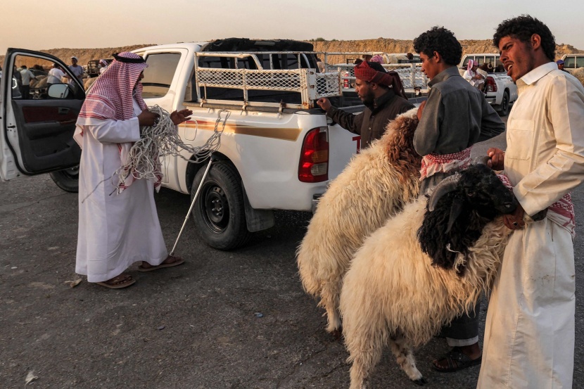 سوق الأغنام بالعزيزية .. بائعون ينتظرون الزبائن 