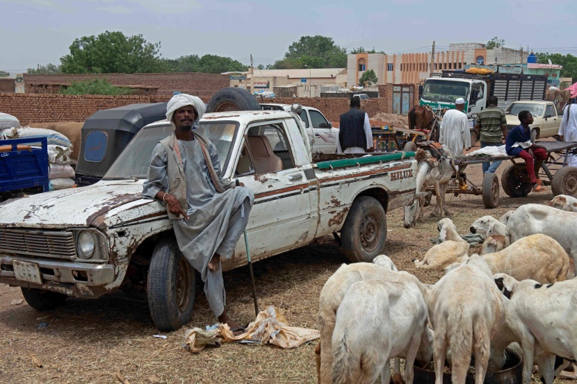 الحرب تحرم السودانيين من خروف العيد 