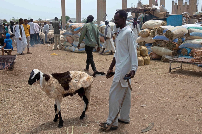 الحرب تحرم السودانيين من خروف العيد 