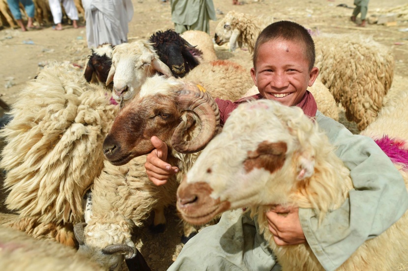 الاحتفال بالعيد.. مشاعر وفرح