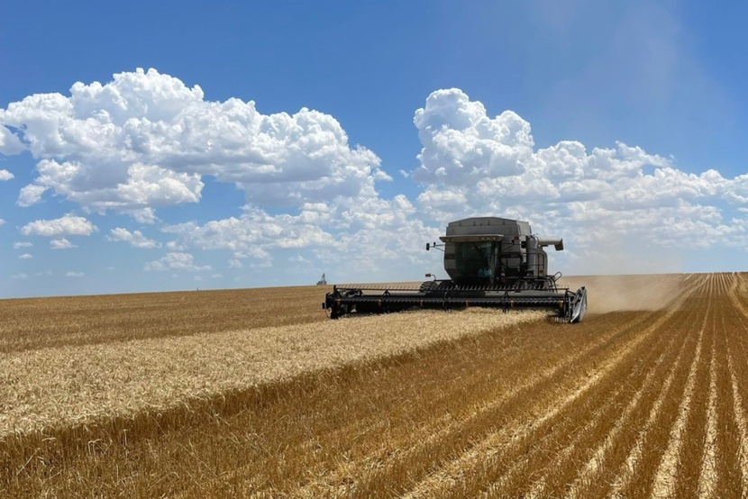 انقسامات كبرى بين دول الاتحاد الأوروبي حول ملف الحبوب الأوكرانية