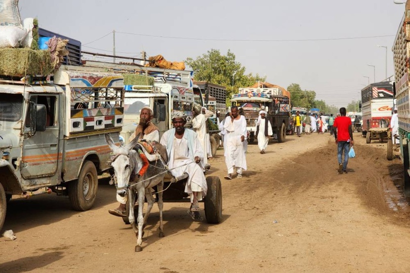 بعد تفكيك الصناعة وتأثر القطاع الزراعي .. الحرب في السودان تهدد موسم حصاد البلح