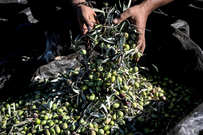 وسط ويلات الحرب .. حياة الفلسطينيين لا تتوقف 