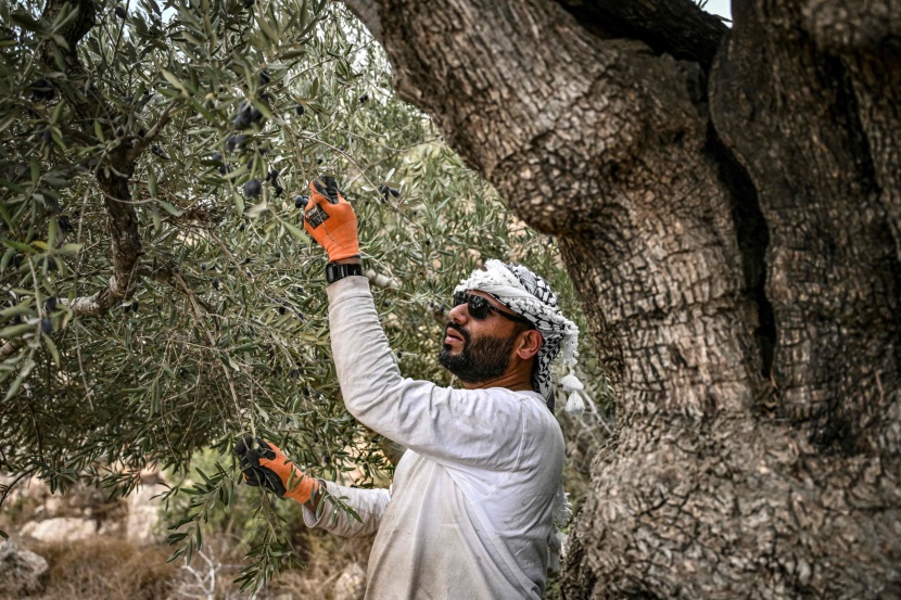 وسط ويلات الحرب .. حياة الفلسطينيين لا تتوقف 