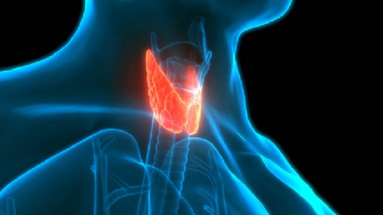 الغدة الدرقية في خطر .. والسبب التدخين وتناول المكملات الغذائية
