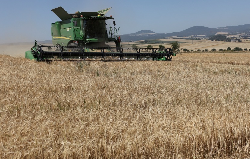  تراجع حاد لإنتاج الحبوب في المغرب بسبب الجفاف