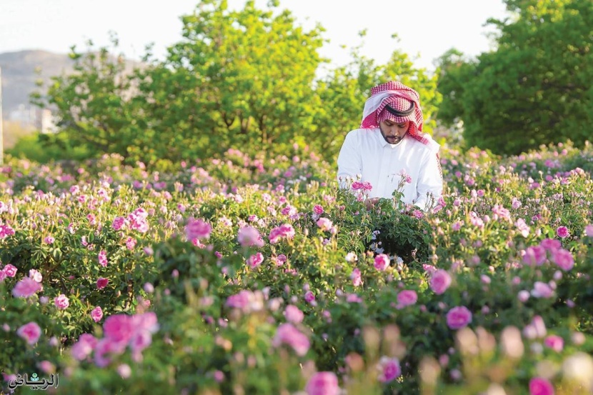 693 مليون ريال تمويلات "الصندوق الزراعي "السعودي لمشاريع  في مكة المكرمة