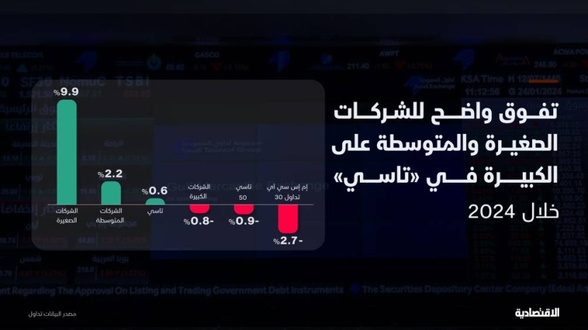 لماذا تفوقت الشركات الصغيرة والمتوسطة في "تاسي" خلال 2024؟